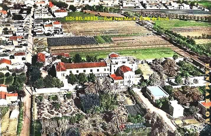 Sidi-Bel-Abbes - Vue aerienne - Rue Jean Mace et ecole de Sonis.jpg